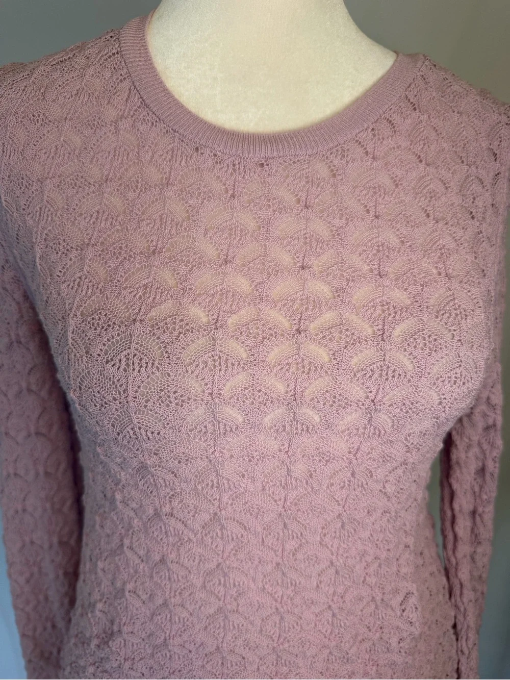Women's Lace Stretchy Knit Long-Sleeve Crop Length Top - Dusty Rose
